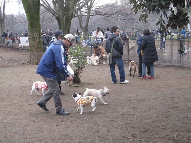 代々木公園の散歩 國安先生のブログ