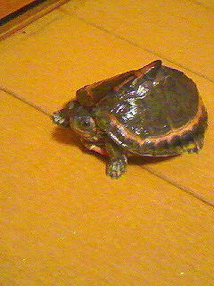 s-090318_2330~02.jpg