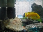 s-IMG_1256.jpg