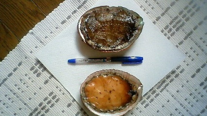 200906031006000.jpg