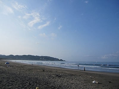 IMG_4126.jpg