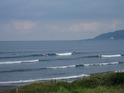 IMG_4280.jpg
