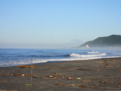 IMG_4427.jpg