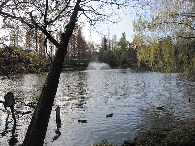 IMG_4788.jpg