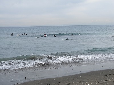 IMG_4940.jpg