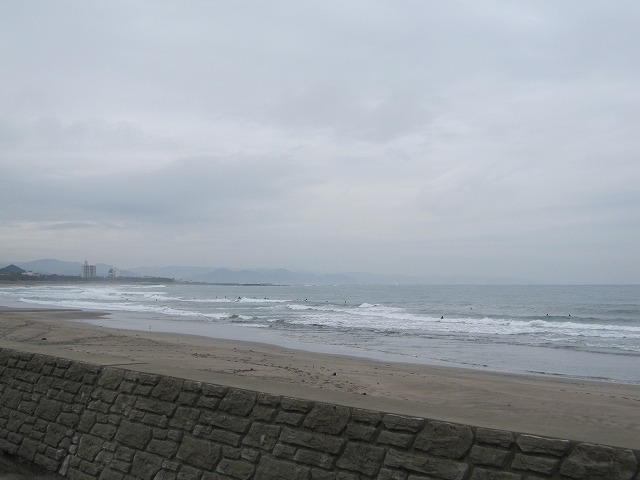 IMG_5181.jpg