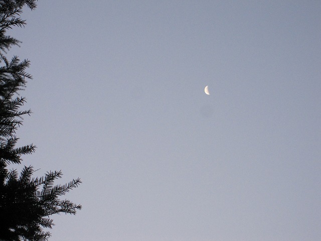 IMG_5213.jpg