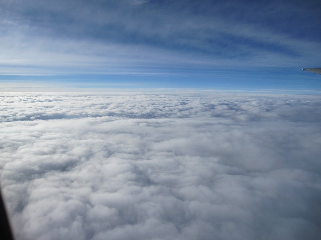 IMG_5525.jpg