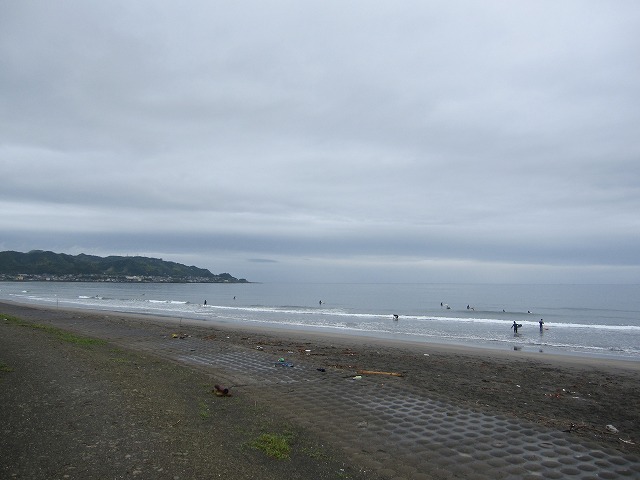 IMG_5739.jpg