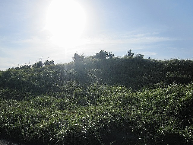 IMG_5935.jpg