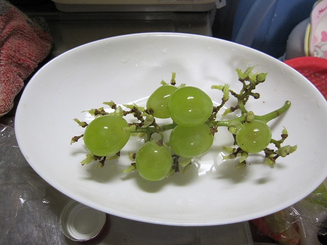 IMG_6357.jpg