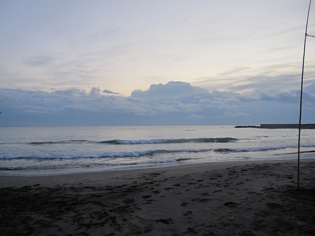 IMG_6731.jpg