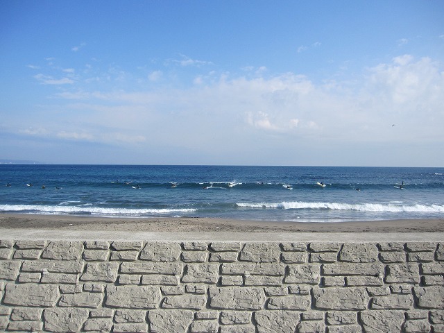 IMG_6778.jpg