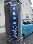 IMG_6979.jpg