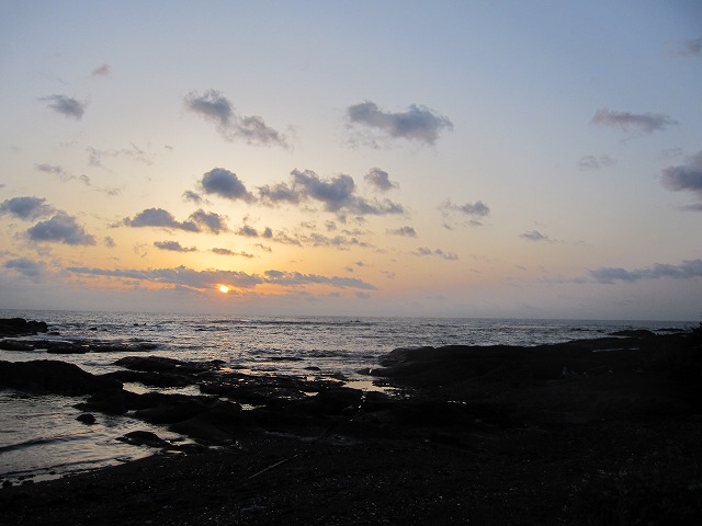 IMG_7242.jpg