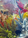 s-081031_2222~01.jpg