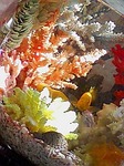 s-090119_1412~01.jpg