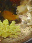 s-090123_2136~20.jpg