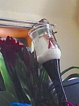 s-090409_1358~01.jpg