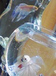 s-090514_1228~01.jpg