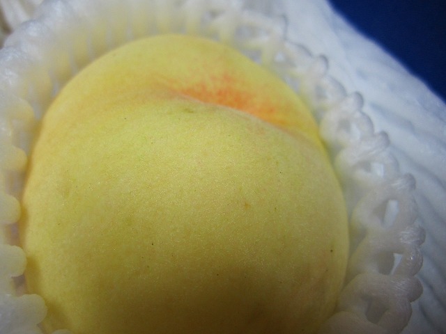 s-IMG_0565.jpg