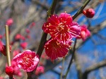 s-IMG_0895.jpg