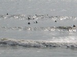 s-IMG_0983.jpg