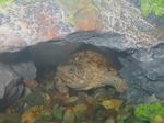 s-IMG_1074.jpg