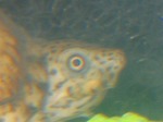s-IMG_1086.jpg