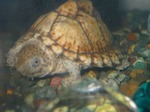 s-IMG_1088.jpg