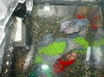 s-IMG_1089.jpg