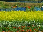 s-IMG_1137.jpg