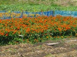 s-IMG_1139.jpg