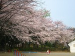 s-IMG_1263.jpg
