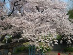 s-IMG_1279.jpg