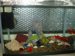 s-IMG_1282.jpg