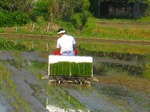 s-IMG_1356.jpg