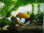 s-IMG_1483.jpg