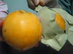 s-IMG_1610.jpg