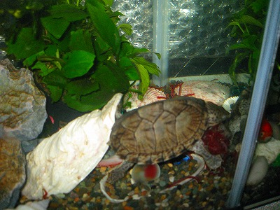 s-IMG_1651.jpg
