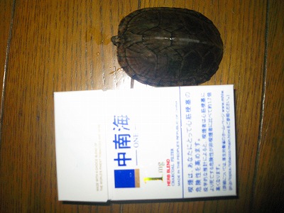 s-IMG_2155.jpg