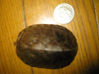 s-IMG_2156.jpg