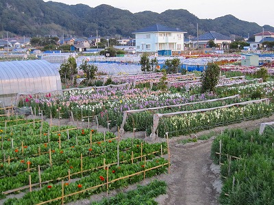 s-IMG_2769.jpg