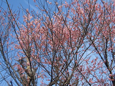 s-IMG_2942.jpg