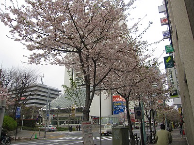 s-IMG_3211.jpg
