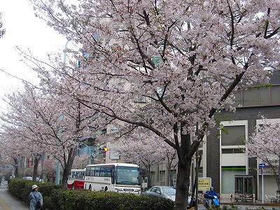 s-IMG_3213.jpg